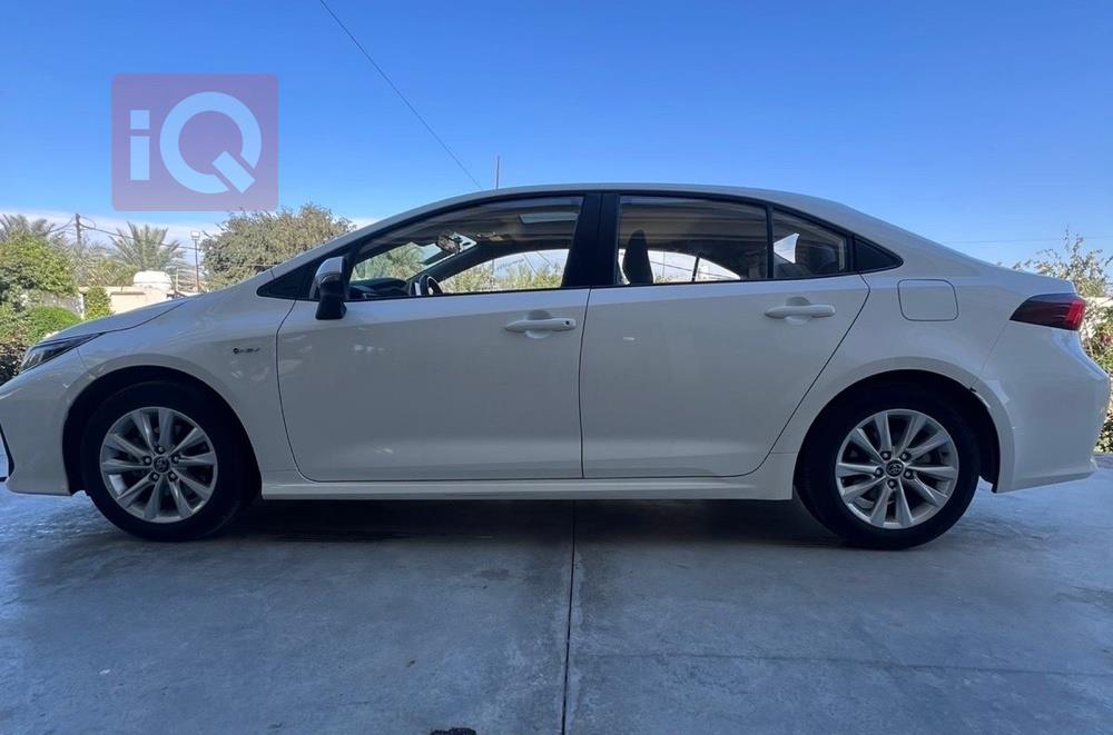 تويوتا كورولا